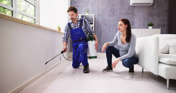 Reliable Altamonte Springs, FL Pest Control Solutions